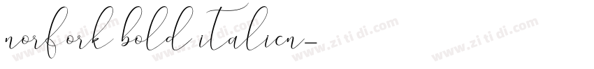 norfork bold italicn字体转换
